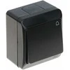 PAVIENIS MOMENTINIS MYGTUKAS HERMES/0337-09/EPN 250 V 10 A Elektro-Plast