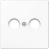 TV/R antenos lizdo / mechanizmo apdaila LS990 JUNG LS990TVWW (balta)