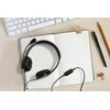 Ausinės Kensington HiFi USB su mikrofonu ir VC