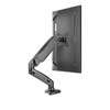 Up Up Premium Single Screen Monitoriaus laikiklis 17-32'', VESA 75x75, 100x100, Matinė juoda
