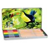 Spalvoti pieštukai COLORINO Artist 12 spalvų, metalinėje dėžutėje