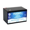 FULBAT FLP12-12 12.8V 12Ah Lithium Ion gilaus iškrovimo akumuliatorius