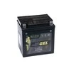 IntAct GEL12-30L-BS 12V, 30Ah akumuliatorius