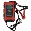Universal Power 12V 10A / 24V 5A universalus įkroviklis