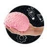 Minkomos antistresinės žaislinės smegenys TRENDHAUS XXL Squishy Super Brain