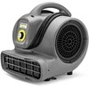 AB 20 Ec *EU