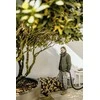 Drėgno ir sauso valymo dulkių siurblys Karcher WD 6 P S V-30/6/22/T (1.628-382.0)