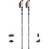 5-Piece Carbon Trekking Poles inSPORTline Caretera