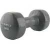 Hantelis dengtas vinilu 2.0 kg