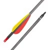 Anglies pluošto strėlės su įsukamais antgaliais inSPORTline Carbison 30”, 10vnt, raudonos-geltonos