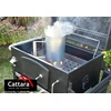Anglių ir briketų uždegimo kaminas Cattara