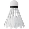 Badmintono plunksniukai Nils NBL6203, 3 vnt.