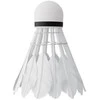 Nils Extreme Badmintono plunksniukai Nils NBL6206, 6 vnt.