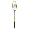 Nils Extreme Badmintono rinkinys Nils NRZ204