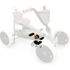 Berg Buzzy 2-in-1 - Crank shaft incl. pedals Retro Žalias