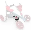 Berg Buzzy 2-in-1 - Crank shaft incl. pedals Bloom