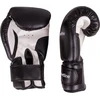 Boxing Gloves inSPORTline Metrojack