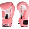 Boxing Gloves inSPORTline Ravna