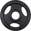 Cast Iron Olympic Weight Plate inSPORTline Hamerton Juodas 2.5kg, 50 mm