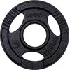 Cast Iron Olympic Weight Plate inSPORTline Hamerton Juodas 1.25 kg, 50 mm
