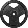 Cast Iron Weight Plate inSPORTline Hamerton Juodas 25 kg, 30 mm