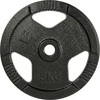 Ketaus svorio diskas inSPORTline Hamerton Juodas 5kg, 30 mm
