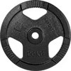 Cast Iron Weight Plate inSPORTline Hamerton Juodas 20 kg, 30 mm