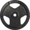 Ketaus svorio diskas inSPORTline Hamerton, juodas, 15 kg, 30 mm