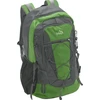 Cattara Kuprinė Runner, 38 l, žalia
