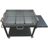 Cattara Anglinis grilis FIESTA 95x60 cm