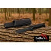 Cattara WARRIOR durklas 22,5 cm su dėklu