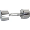 Chromuotas hantelis inSPORTline 6kg