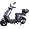 Elektrinis motoroleris W-TEC Raike II 10”