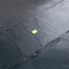 EXIT Premium trampoline cover 275x458cm