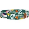 Vidutinė kūno rengybos juosta Spokey HOME JUNGLE