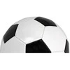 Futbolo kamuolys Enero Ladybug, juodas-baltas