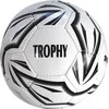 Futbolo kamuolys Spartan Throphy, sint. oda, 5 dydis