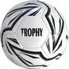Futbolo kamuolys Spartan Throphy, sint. oda, 5 dydis