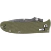 Ganzo Firebird Ganzo sulankstomas peilis D704-GR žalias