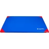 Gimnastikos kilimėlis inSPORTline Gabyk T90 200 x 120 x 6 cm