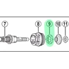 Guolis stebulei Shimano Nexus SG-3C40 // 7/32" x 8, 5.6 mm