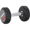 Vienarankis hantelis inSPORTline Profi CPU 10 kg