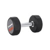 Hantelis inSPORTline Profi CPU 12.5kg