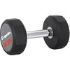 Hantelis inSPORTline Profi CPU 12.5kg
