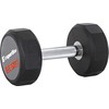 Hantelis inSPORTline Profi CPU 12.5kg