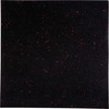 Stiprus grindų kilimėlis inSPORTline Proteko II 50 x 50 x 1,5 cm