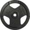 Ketaus svorio diskas inSPORTline Hamerton, juodas, 15 kg, 30 mm