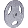Plieninis svoris grifui 30mm inSPORTline Hamerton 15kg