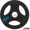 Ketaus svoris su rankenomis Platinum Fitness Beltor HRD System Line, 1.25kg, 29mm