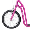 Kick Scooter inSPORTline Milester
